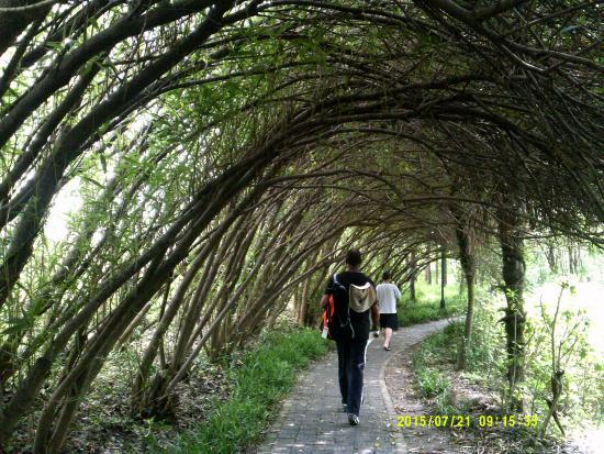 Shanghai Wusong Ancient Fort